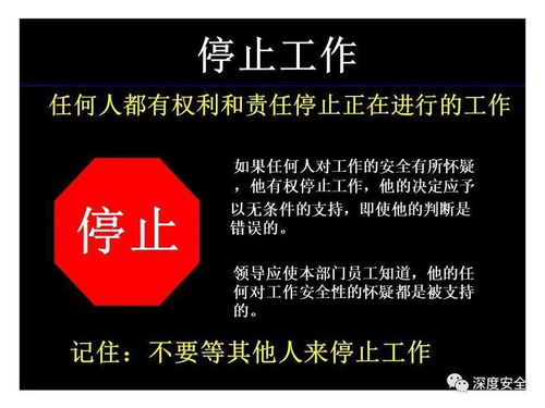 精品PPT分享 跨国公司安全管理文化与数字文化创意内容应用服务
