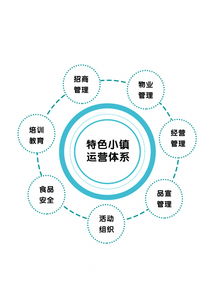 专访光合文化创意集团董事长赵兴朋 特色小镇是个有机生命体，数字文化创意内容的应用与服务