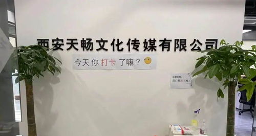 政策服务双管齐下，数字文创赋能未来 曲江369园区助力企业纾困发展